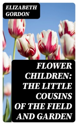 Flower Children: The Little Cousins of the Field and Garden