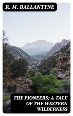 The Pioneers; a Tale of the Western Wilderness