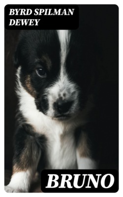 Bruno
