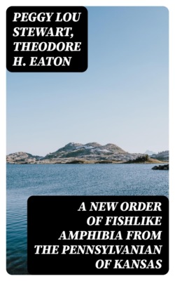 A New Order of Fishlike Amphibia From the Pennsylvanian of Kansas