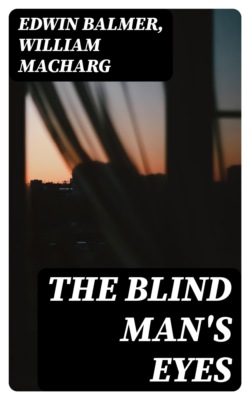 The Blind Man's Eyes
