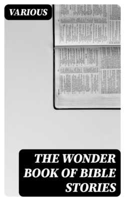 The Wonder Book of Bible Stories