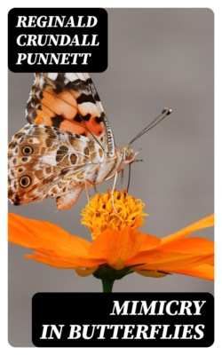 Mimicry in Butterflies