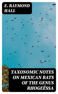 Taxonomic Notes on Mexican Bats of the Genus Rhogeëssa