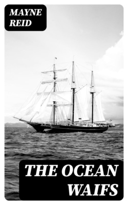 The Ocean Waifs