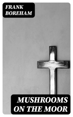 Mushrooms on the Moor