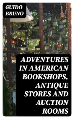 Adventures in American Bookshops, Antique Stores and Auction Rooms