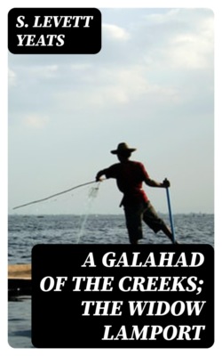 A Galahad of the Creeks; The Widow Lamport