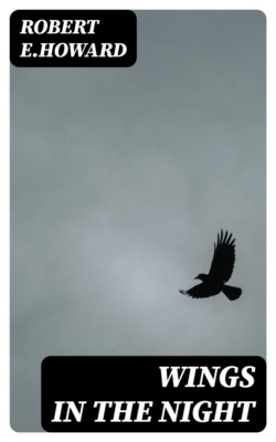 Wings in the Night