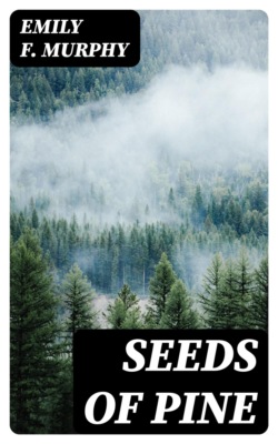Seeds of Pine