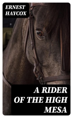 A Rider of the High Mesa