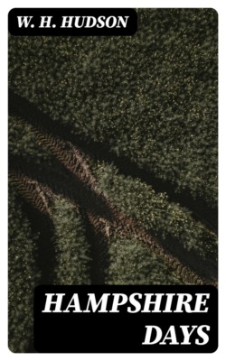 Hampshire Days