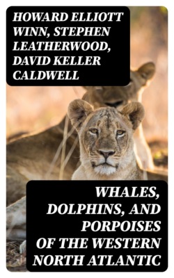 Whales, Dolphins, and Porpoises of the Western North Atlantic
