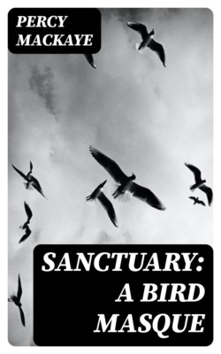 Sanctuary: A Bird Masque