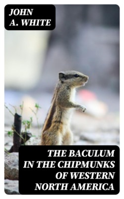 The Baculum in the Chipmunks of Western North America
