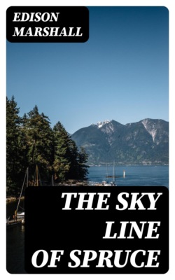 The Sky Line of Spruce