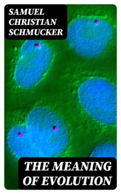 The Meaning of Evolution