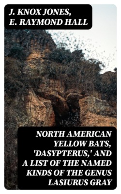 North American Yellow Bats, 'Dasypterus,' and a List of the Named Kinds of the Genus Lasiurus Gray