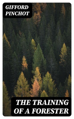 The Training of a Forester