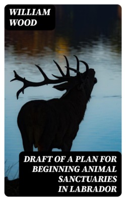 Draft of a Plan for Beginning Animal Sanctuaries in Labrador