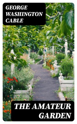 The Amateur Garden
