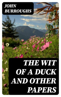 The Wit of a Duck and Other Papers