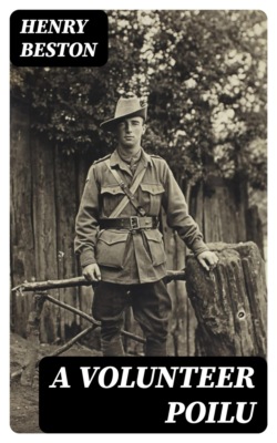 A Volunteer Poilu