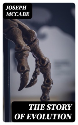 The Story of Evolution