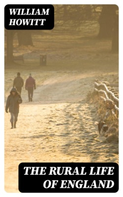 The Rural Life of England