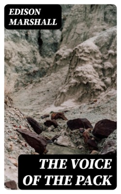 The Voice of the Pack