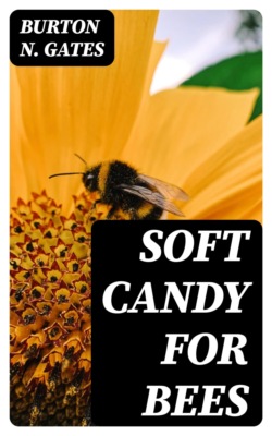 Soft Candy for Bees