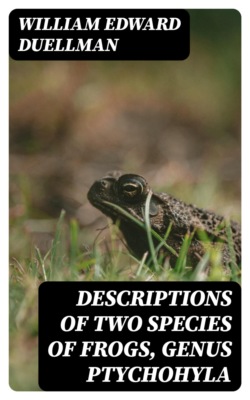 Descriptions of Two Species of Frogs, Genus Ptychohyla