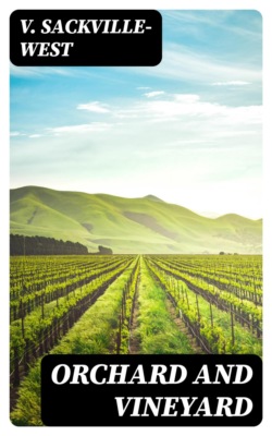 Orchard and Vineyard