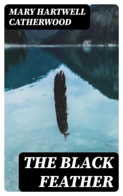 The Black Feather