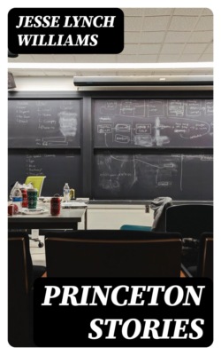 Princeton Stories