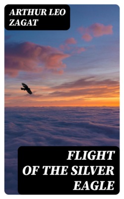 Flight of the Silver Eagle