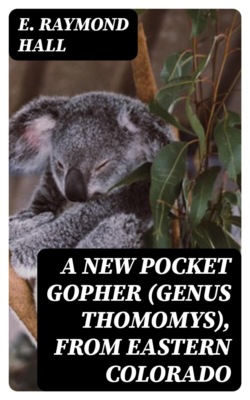 A New Pocket Gopher (Genus Thomomys), from Eastern Colorado