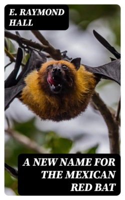 A New Name for the Mexican Red Bat