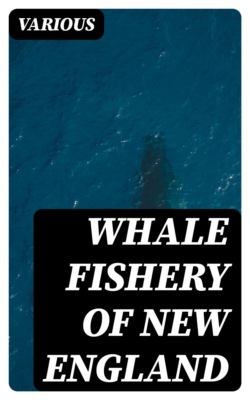 Whale Fishery of New England