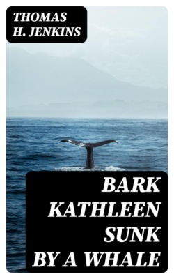 Bark Kathleen Sunk By A Whale