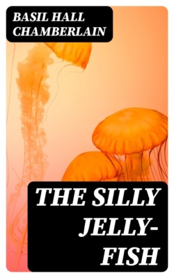 The Silly Jelly-Fish