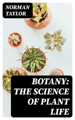 Botany: The Science of Plant Life