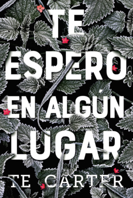 Te espero en algún lugar