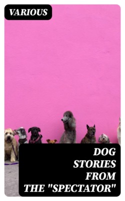 Dog Stories from the "Spectator"
