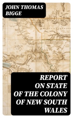 The Religious Instruction of the Negroes in the United States