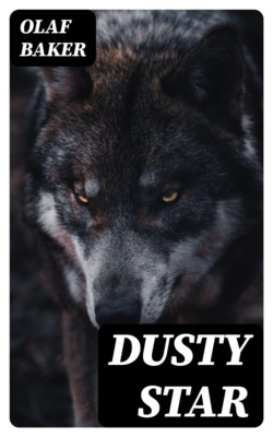 A Confederate Girl's Diary