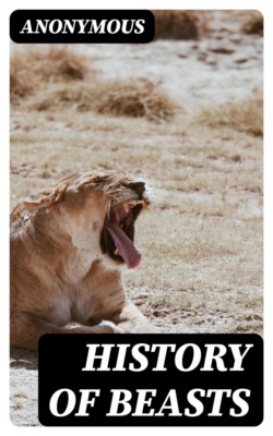 The Complete History of the Christian Church