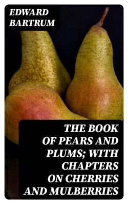 British Murder Mysteries - The Josephine Tey Collection