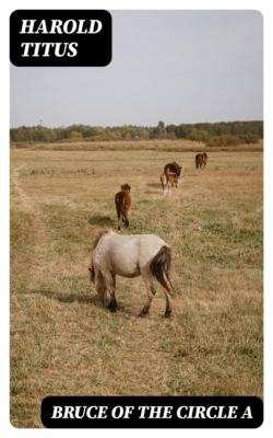 A Marriage Under the Terror