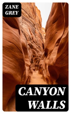 The Story of Norsemen